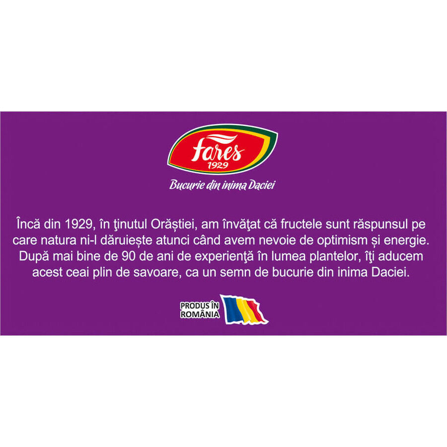 Thé aux airelles et aux myrtilles, Aromafruct, 100 sachets, Fares