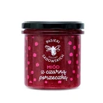 PASIEKI RAZINY SADOWSKICH Honey with blackcurrant, 430g