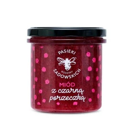 PASIEKI RAZINY SADOWSKICH Honey with blackcurrant, 430g