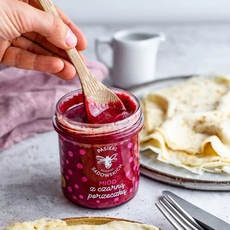PASIEKI RAZINY SADOWSKICH Honey with blackcurrant, 430g