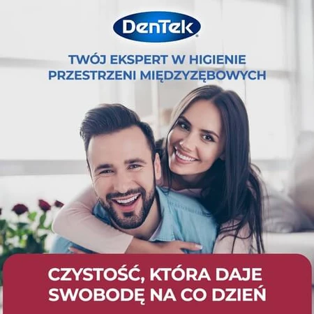 DENTEK Cepillos interdentales Easy Brush tamaño 2, 6pcs