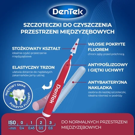 DENTEK Cepillos interdentales Easy Brush tamaño 2, 6pcs