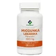 MedFuture Plumeria medicinalis 500mg, 60 Kapseln