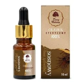 DARY NATURY Ätherisches Öl - Kiefer 100%, 10 ml
