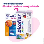 Dicoflor Junior, 10 Portionsbeutel