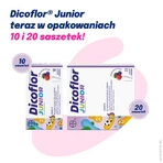 Dicoflor Junior, 10 Portionsbeutel