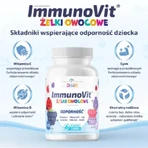 Home Pharmacy ImmunoVit gelée de fruits sans sucre pour enfants 3+ saveur fruits de la forêt, 60 pcs