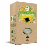 DARY NATURY Ginkgo thee fix, 25*2g
