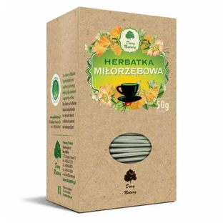 DARY NATURY Ginkgo tea fix, 25*2g