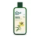 Farmona Champú para cabellos teñidos a base de plantas Onagra, 330 ml