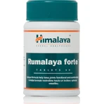 Himalaya Wellness Rumalaya Forte 60 comp.