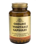 Solgar Colina 350mg Complemento Alimenticio Especial 100 cápsulas vegetales