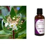 Tincture of Catuaba 50ml Nature & Body