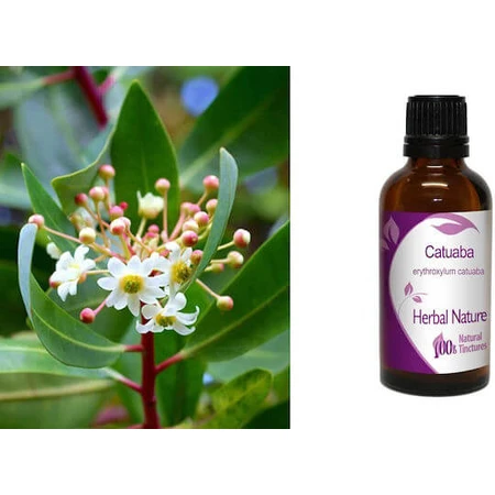 Tincture of Catuaba 50ml Nature & Body
