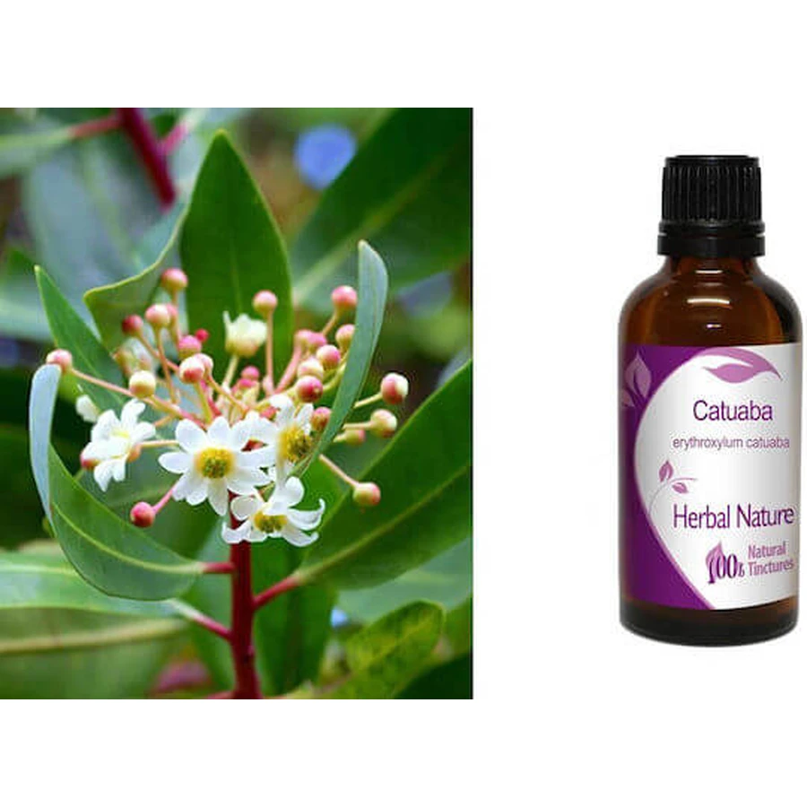 Tincture of Catuaba 50ml Nature & Body
