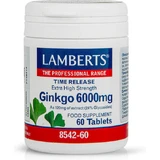 Lamberts Time Release Ginkgo 6000mg 60 Dateien