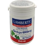 Lamberts Time Release Ginkgo 6000mg 60 files