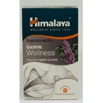 Himalaya Wellness Yashtimandhu Gastric Wellness 60 dossiers