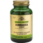 Solgar Echinacea Extract 60 veget capsules