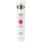Power Of Nature Echinacea Extra 2 x 20 bruistabletten Citroen
