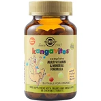Solgar Kangavites Complete Multivitamine & Mineralenformule Multivitamine voor Energie & Versterking van het Immuunsysteem Tropical Punch 60 kauwtabletten