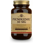 Solgar Pycnogenol 30mg Nahrungsergänzungsmittel Spezial 60 pflanzliche Kapseln
