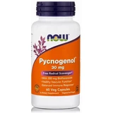 Jetzt Lebensmittel Pycnogenol 30mg Nahrungsergänzungsmittel Special 60 vegetarische Kapseln