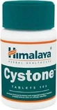 Himalaya Wellness Cystone Speciaal Dieetsupplement 100 tabs
