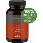 TerraNova Heiliges Basilikum 400mg Angst Ergänzung 50 pflanzliche Kapseln