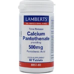 Lamberts Calcium Pantothenaat 500mg 60 Tabletten