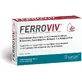 Sanaril Ferroviv Immuunsysteem Versterkend Supplement 30 tabs Sinaasappel