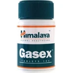 Himalaya Wellness Gasex Speciaal Dieetsupplement 100 tabs