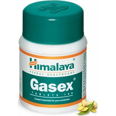 Himalaya Wellness Gasex Speciaal Dieetsupplement 100 tabs