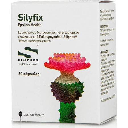Epsilon Gesundheit Silyfix 60 Kapseln