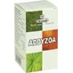 Charak Addyzoa Libido & Testosterone Boosting Supplement 100 tabs