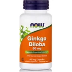 Now Foods Ginkgo Biloba 60 gélules végétales