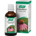 A.Vogel Echinaforce Echinacea Tinctuur Echinacea Druppels 50ml