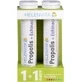 Helenvita Propolis & Echinacea Immunsystem Stärkung Supplement 40 Tabs eff Zitrone