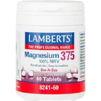 Lamberts Magnesium 100% NRV 375mg 60 tablets