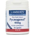 Lamberts Pycnogenol 40mg Complément Alimentaire Spécial Spécial 60 gélules