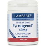 Lamberts Pycnogenol 40mg Nahrungsergänzungsmittel Special Special 60 caps