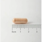 Lamberts Pycnogenol 40mg Complément Alimentaire Spécial Spécial 60 gélules