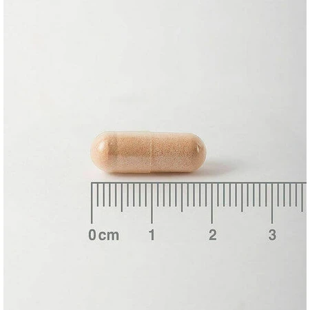 Lamberts Pycnogenol 40mg Complément Alimentaire Spécial Spécial 60 gélules