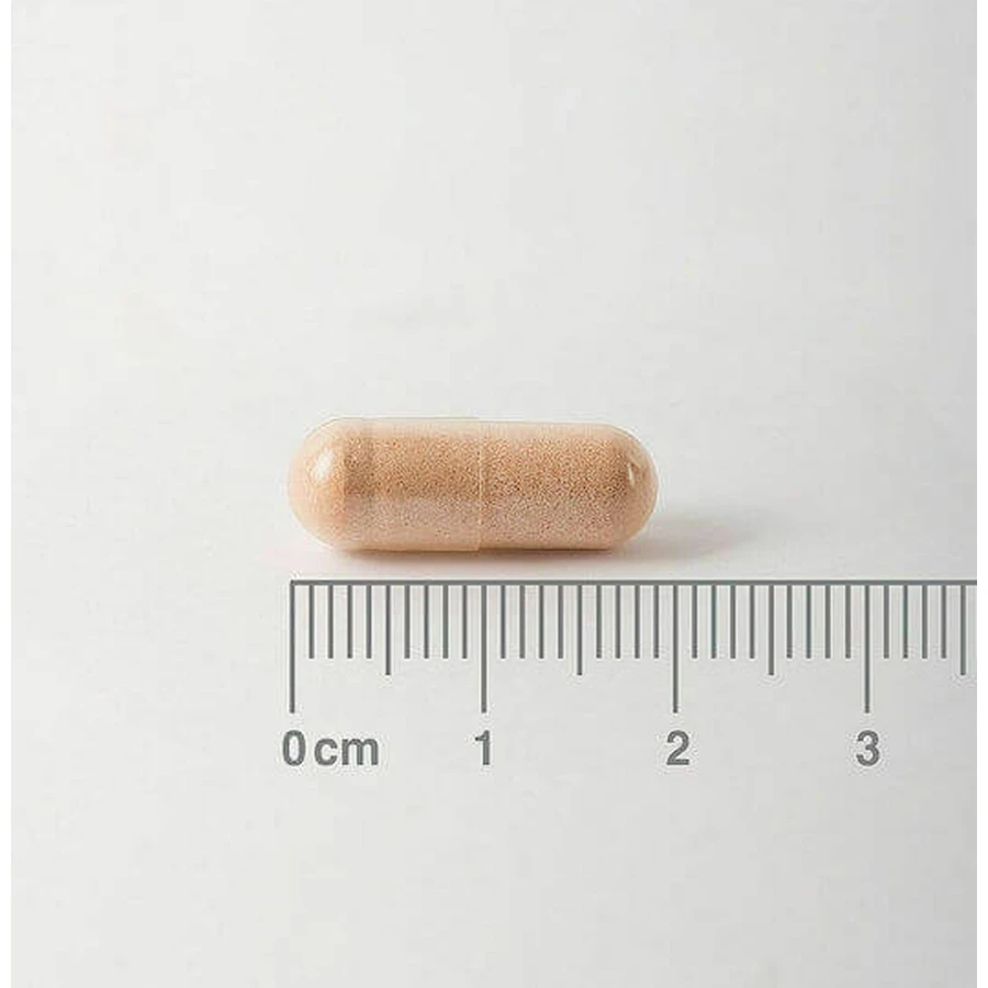 Lamberts Pycnogenol 40mg Complément Alimentaire Spécial Spécial 60 gélules
