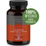 TerraNova Alpha-Liponsäure Alpha-Liponsäure Spezial-Nahrungsergänzungsmittel 50 pflanzliche Kapseln