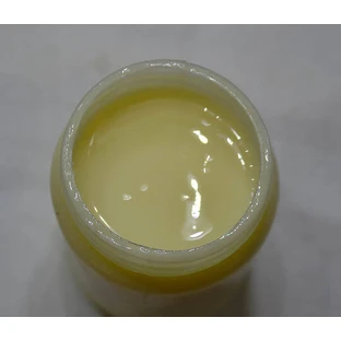AristonLab Gelée Royale für Energie, Immunsystem & Haarstärkung 12gr