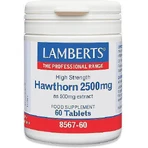 Lamberts Hawthorn 2500mg 60 files