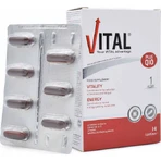 Vital Plus Q10 Multivitamin für Energie und Unterstützung des Immunsystems 14 Softgels