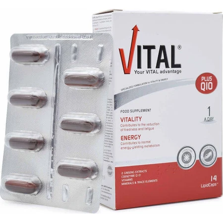 Vital Plus Q10 Multivitamin für Energie und Unterstützung des Immunsystems 14 Softgels