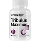 Ironflex Nutrition Tribulus Maximus Libido & Testosteron Verhogend Supplement 90 tabs